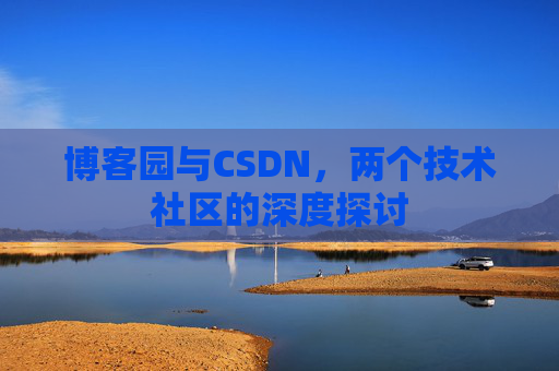 博客园与CSDN，两个技术社区的深度探讨